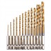 dophee 13Pcs HSS Titanium Coated Quick Change Bits Hex Shank Drill Bit Set with Holder