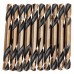 DRELD 10pcs Double Head Twist Drill Bit HSS Auger Bit Hand Electric Drill Tool OD 5.2mm Aluminium Alloy Cast Iron Wood Punching Hole